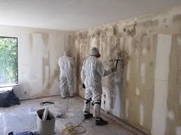 Mold Odor Removal Services in Lowell, OR